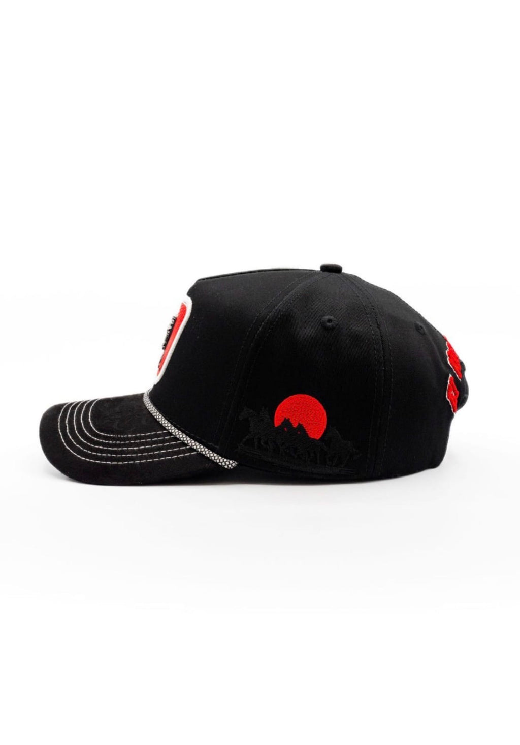 Frizian Black